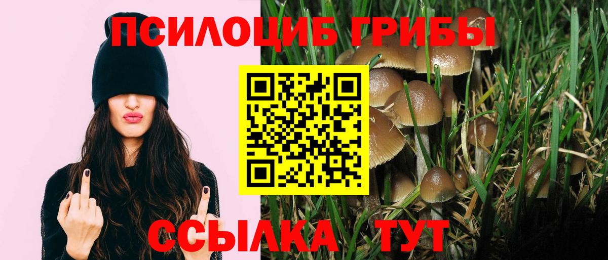 Галлюциногенные грибы GOLDEN TEACHER Камень-на-Оби